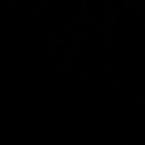 Meet your Posher, Lulo